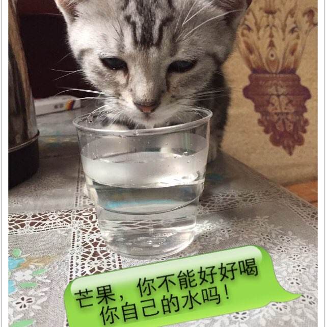 密西西比州驾驶证样本资料